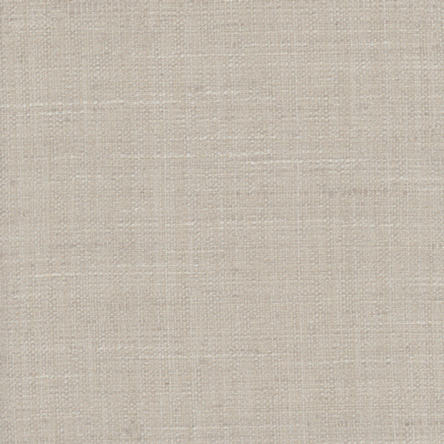 <p>Carole Fabric The Reason Is Pewter</p><p><strong>Required Minimum Quantity Purchase: 2 yards</strong></p><p>Book: Desert Sands</p><p>Content: 100% Polyester</p><p>Origin: </p><p>Performance: N/A</p><p>Repeat: None</p><p>Width: 54""</p>