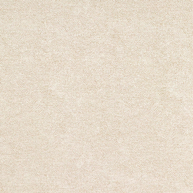 <p>Carole Fabric Interior Canvas</p><p><strong>Required Minimum Quantity Purchase: 2 yards</strong></p><p>Book: Quiet Luxury</p><p>Content: 72% Polyester, 28% Cotton</p><p>Origin: </p><p>Performance: N/A</p><p>Repeat: None</p><p>Width: 54""</p>
