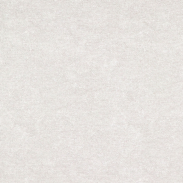 <p>Carole Fabric Interior Zinc</p><p><strong>Required Minimum Quantity Purchase: 2 yards</strong></p><p>Book: Quiet Luxury</p><p>Content: 72% Polyester, 28% Cotton</p><p>Origin: </p><p>Performance: N/A</p><p>Repeat: None</p><p>Width: 54""</p>