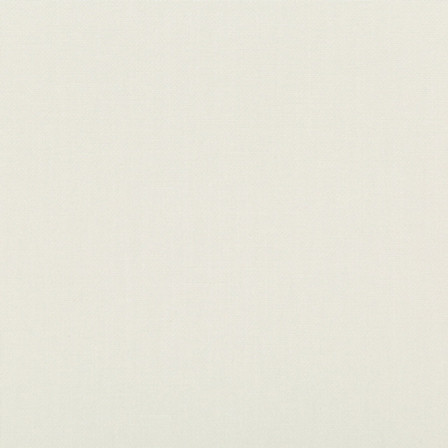 <p>Carole Fabric Tia Ivory</p><p><strong>Required Minimum Quantity Purchase: 2 yards</strong></p><p>Book: Sea Salt</p><p>Content: 77% Cotton, 23% Polyester</p><p>Origin: </p><p>Performance: 18,000 Wyzenbeek Double Rubs</p><p>Repeat: None</p><p>Width: 54""</p>