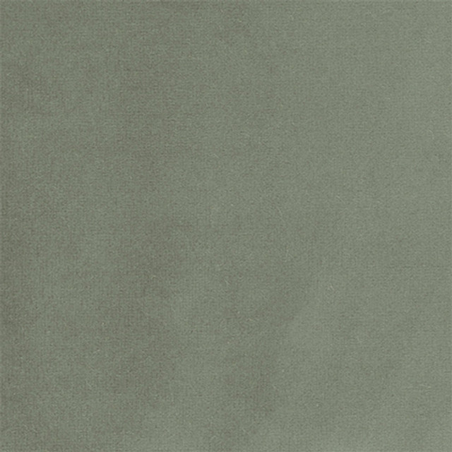 <p>Carole Fabric Plush Touch Sage</p><p><strong>Required Minimum Quantity Purchase: 2 yards</strong></p><p>Book: Warm Embrace</p><p>Content: 100% Polyester-Knit Backing</p><p>Origin: </p><p>Performance: 235,000 Wyzenbeek Double Rubs</p><p>Repeat: None</p><p>Width: 55""</p>
