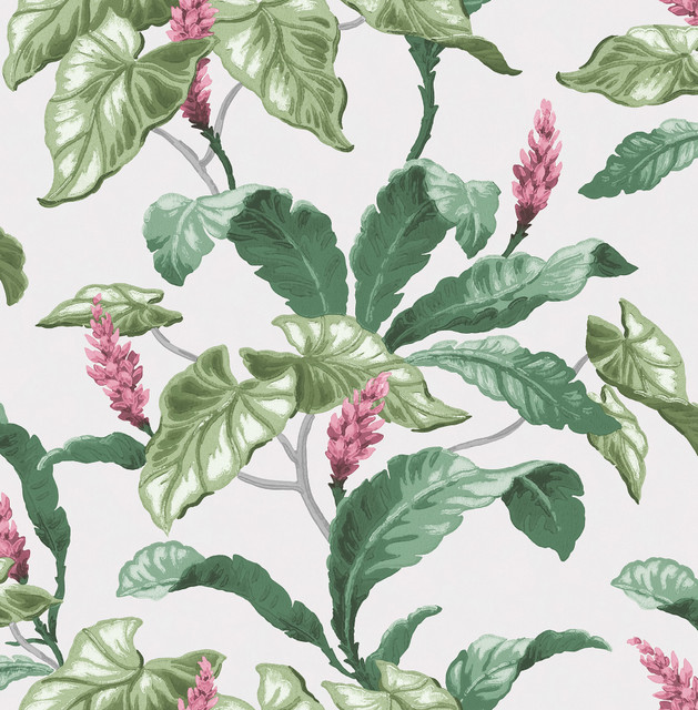 Brewster Meridian Parade Green Tropical Leaves Wallpaper Archive Collection Covers about 56.4 square feet Great Britain Unpasted 21-in repeat, drop match 20.5-in by 33-ft long roll - My Fabric Connection - Brewster Meridian Parade Green Tropical Leaves Wallpaper Archive Collection Covers about 56.4 square feet Great Britain Unpasted 21-in repeat, drop match 20.5-in by 33-ft long roll - My Fabric Connection -