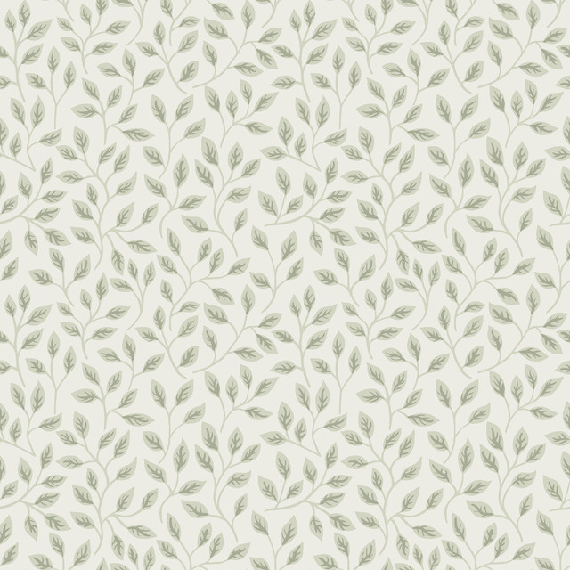 A-Street Prints Posey Light Green Vines Wallpaper Spring Covers about 56.4 square feet Sweden Unpasted 10.4-in repeat, straight match 20.5-in by 33-ft long roll - My Fabric Connection - A-Street Prints Posey Light Green Vines Wallpaper Spring Covers about 56.4 square feet Sweden Unpasted 10.4-in repeat, straight match 20.5-in by 33-ft long roll - My Fabric Connection -