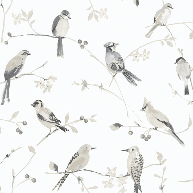 Chesapeake Birdsong Grey Trail Wallpaper Thoreau Covers about 56.4 square feet United States Prepasted 20.5-in repeat, half drop match 20.5-in by 33-ft long roll - My Fabric Connection -