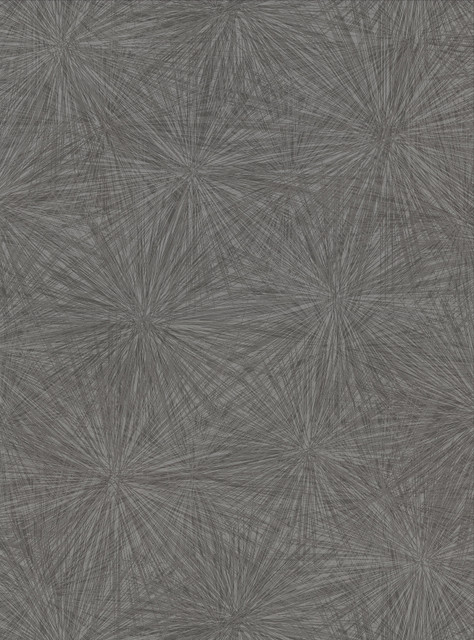 Warner Majestic Black Starburst Wallpaper Warner Textures X Covers about 60.8 square feet United States Unpasted 24-in repeat, straight match 27-in by 27-ft long roll - My Fabric Connection - Warner Majestic Black Starburst Wallpaper Warner Textures X Covers about 60.8 square feet United States Unpasted 24-in repeat, straight match 27-in by 27-ft long roll - My Fabric Connection -