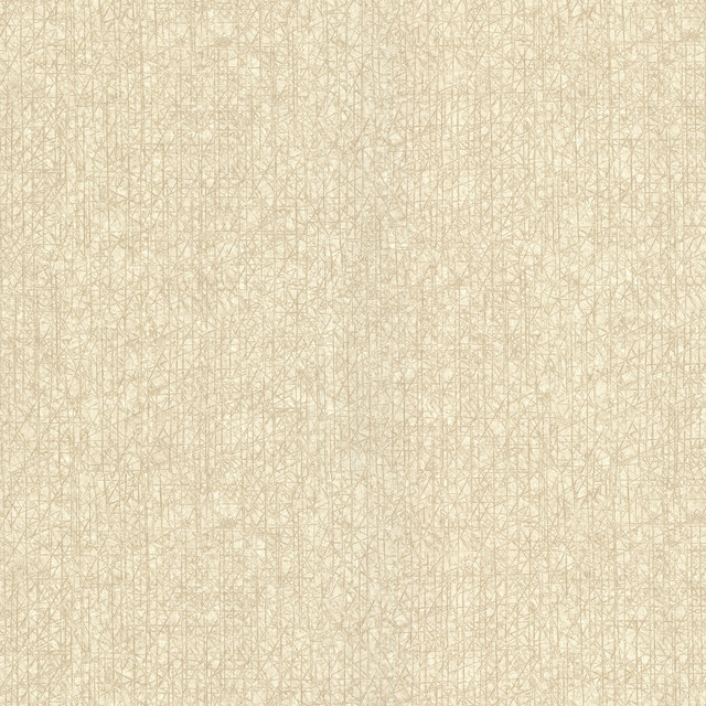 Warner Nagano Taupe Distressed Texture Wallpaper Warner XI Naturals & Grasscloths Covers about 60.8 square feet United States Unpasted No repeat, random match 27-in by 27-ft long roll - My Fabric Connection -