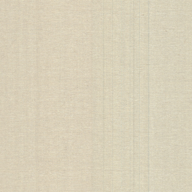 Warner Aspero Champagne Faux Grasscloth Wallpaper Warner XI Naturals & Grasscloths Covers about 60.8 square feet United States Unpasted No repeat, random match 27-in by 27-ft long roll - My Fabric Connection -