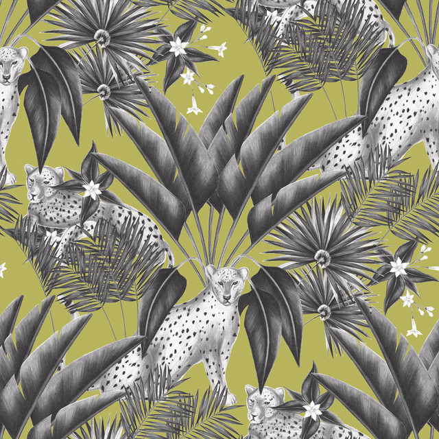 ohpopsi Augustus Grey Jungle Cheetah Wallpaper Wild Covers about 54.2 square feet Great Britain Unpasted 19.7-in repeat, straight match 19.7-in by 33-ft long roll - My Fabric Connection -