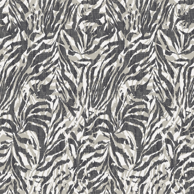 ohpopsi Davy Charcoal Zebra Wallpaper Wild Covers about 54.2 square feet Great Britain Unpasted 19.7-in repeat, straight match 19.7-in by 33-ft long roll - My Fabric Connection -