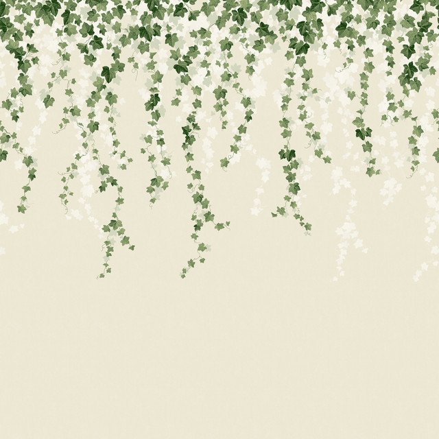 Advantage Trailing Ivy Green Wall Mural Westbury Forest Covers 6 panels measuring 9.8-ft wide by 9.8-ft tall when assembled Great Britain Unpasted Reverse Hang 19.6-in by 9.8-ft long roll - My Fabric Connection - Advantage Trailing Ivy Green Wall Mural Westbury Forest Covers 6 panels measuring 9.8-ft wide by 9.8-ft tall when assembled Great Britain Unpasted Reverse Hang 19.6-in by 9.8-ft long roll - My Fabric Connection -