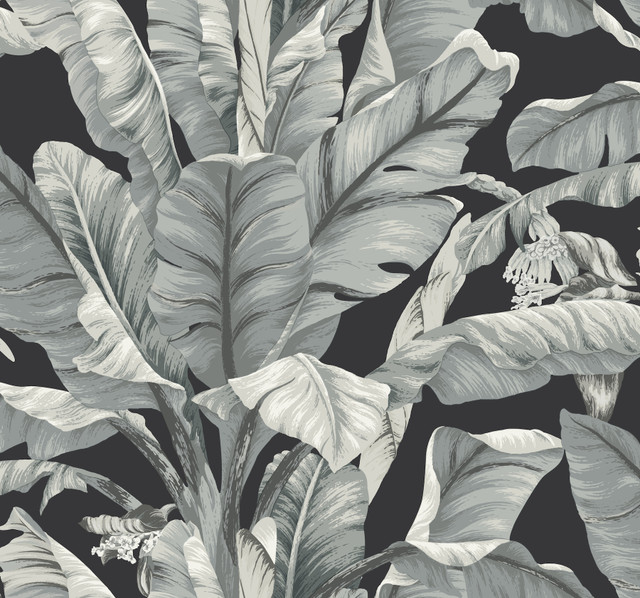 Inspired by Color Banana Leaf Black & White Wallpaper Black & White Resource Library Covers about 60.8 square feet Prepasted 25.25-in repeat, drop match 27-in by 27-ft long roll - My Fabric Connection - Inspired by Color Banana Leaf Black & White Wallpaper Black & White Resource Library Covers about 60.8 square feet Prepasted 25.25-in repeat, drop match 27-in by 27-ft long roll - My Fabric Connection -