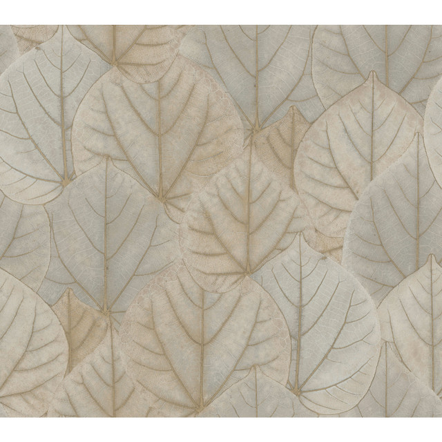 Candice Olson Leaf Concerto Taupe Wallpaper Candice Olson Modern Nature 2nd Edition Covers about 60.8 square feet Unpasted 24-in repeat, straight match 27-in by 27-ft long roll - My Fabric Connection - Candice Olson Leaf Concerto Taupe Wallpaper Candice Olson Modern Nature 2nd Edition Covers about 60.8 square feet Unpasted 24-in repeat, straight match 27-in by 27-ft long roll - My Fabric Connection -