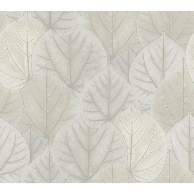 Candice Olson Leaf Concerto Grey Wallpaper Candice Olson Modern Nature 2nd Edition Covers about 60.8 square feet Unpasted 24-in repeat, straight match 27-in by 27-ft long roll - My Fabric Connection - Candice Olson Leaf Concerto Grey Wallpaper Candice Olson Modern Nature 2nd Edition Covers about 60.8 square feet Unpasted 24-in repeat, straight match 27-in by 27-ft long roll - My Fabric Connection -