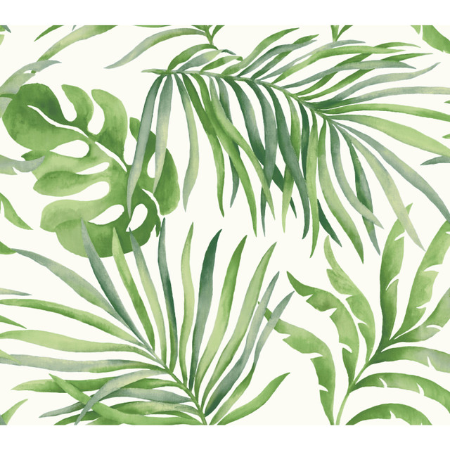 York Wallcoverings Paradise Palm Green Wallpaper Candice Olson Tranquil Covers about 60.8 square feet Unpasted 24-in repeat, drop match 27-in by 27-ft long roll - My Fabric Connection - York Wallcoverings Paradise Palm Green Wallpaper Candice Olson Tranquil Covers about 60.8 square feet Unpasted 24-in repeat, drop match 27-in by 27-ft long roll - My Fabric Connection -