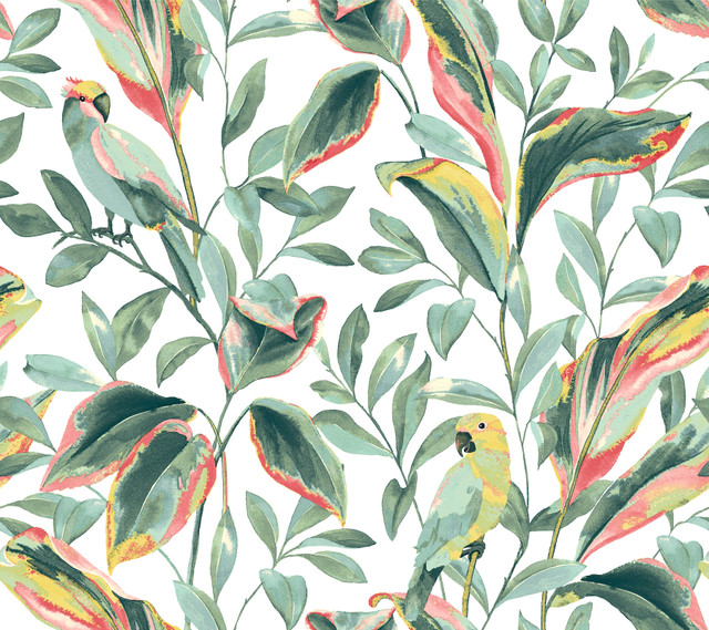 York Wallcoverings Tropical Love Birds White & Coral Wallpaper Earthy Tones Covers about 60.8 square feet Prepasted 24-in repeat, straight match 27-in by 27-ft long roll - My Fabric Connection - York Wallcoverings Tropical Love Birds White & Coral Wallpaper Earthy Tones Covers about 60.8 square feet Prepasted 24-in repeat, straight match 27-in by 27-ft long roll - My Fabric Connection -
