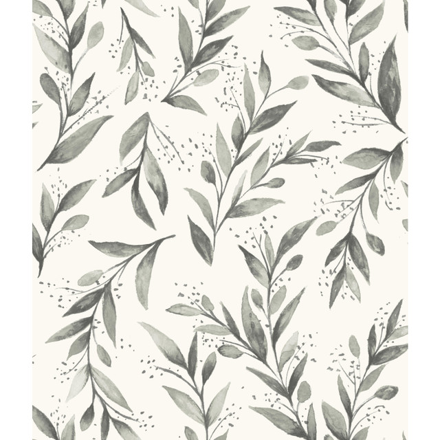 Magnolia Home Olive Branch Charcoal Wallpaper Magnolia Home Vol. II Covers about 56.4 square feet Prepasted 24-in repeat, drop match 20.5-in by 33-ft long roll - My Fabric Connection - Magnolia Home Olive Branch Charcoal Wallpaper Magnolia Home Vol. II Covers about 56.4 square feet Prepasted 24-in repeat, drop match 20.5-in by 33-ft long roll - My Fabric Connection -
