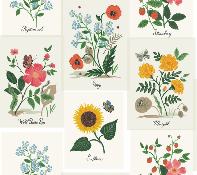 Rifle Paper Co. Botanical Prints White & Pink Wallpaper Rifle Paper Co. Second Edition Covers about 60.8 square feet Unpasted 24-in repeat, drop match 27-in by 27-ft long roll - My Fabric Connection - Rifle Paper Co. Botanical Prints White & Pink Wallpaper Rifle Paper Co. Second Edition Covers about 60.8 square feet Unpasted 24-in repeat, drop match 27-in by 27-ft long roll - My Fabric Connection -