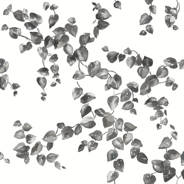 York Wallcoverings Creeping Fig Vine Black & White Wallpaper Simply Farmhouse Covers about 56.4 square feet Unpasted 20.5-in repeat, drop match 20.5-in by 33-ft long roll - My Fabric Connection -