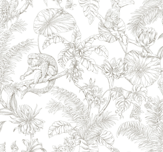 York Wallcoverings Tropical Sketch Toile Brown Wallpaper Toile Resource Library Covers about 60.8 square feet Unpasted 25.25-in repeat, drop match 27-in by 27-ft long roll - My Fabric Connection - York Wallcoverings Tropical Sketch Toile Brown Wallpaper Toile Resource Library Covers about 60.8 square feet Unpasted 25.25-in repeat, drop match 27-in by 27-ft long roll - My Fabric Connection -