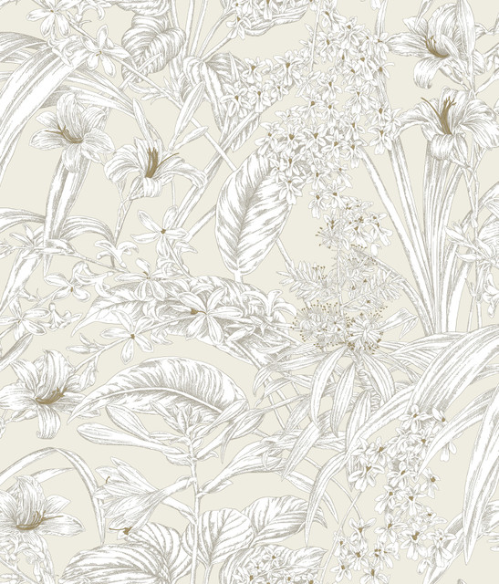 York Wallcoverings Orchid Conservatory Toile Beige & Taupe Wallpaper Toile Resource Library Covers about 56.4 square feet Unpasted 24-in repeat, drop match 20.5-in by 33-ft long roll - My Fabric Connection -