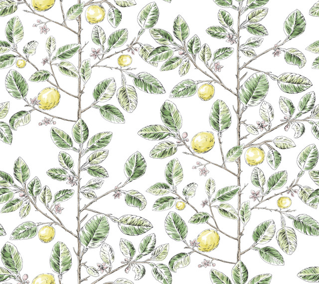 York Wallcoverings Limoncello Toile Green Wallpaper Toile Resource Library Covers about 60.8 square feet Unpasted 24-in repeat, straight match 27-in by 27-ft long roll - My Fabric Connection -