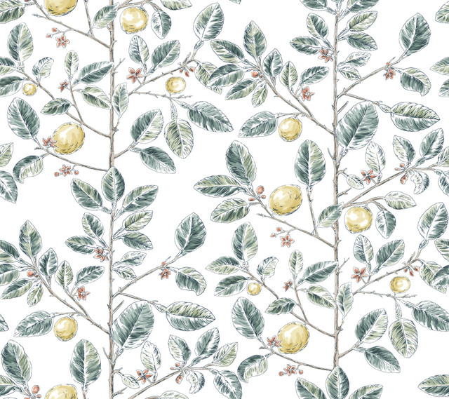 York Wallcoverings Limoncello Toile Forest Wallpaper Toile Resource Library Covers about 60.8 square feet Unpasted 24-in repeat, straight match 27-in by 27-ft long roll - My Fabric Connection - York Wallcoverings Limoncello Toile Forest Wallpaper Toile Resource Library Covers about 60.8 square feet Unpasted 24-in repeat, straight match 27-in by 27-ft long roll - My Fabric Connection -