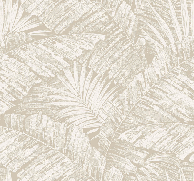 York Wallcoverings Palm Cove Toile White & Taupe Wallpaper Toile Resource Library Covers about 60.8 square feet Unpasted 25.25-in repeat, straight match 27-in by 27-ft long roll - My Fabric Connection - York Wallcoverings Palm Cove Toile White & Taupe Wallpaper Toile Resource Library Covers about 60.8 square feet Unpasted 25.25-in repeat, straight match 27-in by 27-ft long roll - My Fabric Connection -
