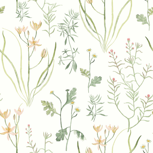 York Wallcoverings Alpine Botanical Peach Peel & Stick Wallpaper Watercolor Botanicals Covers about 34.2 square feet Peel & Stick 20.5-in repeat, straight match 20.5-in by 20-ft long roll - My Fabric Connection - York Wallcoverings Alpine Botanical Peach Peel & Stick Wallpaper Watercolor Botanicals Covers about 34.2 square feet Peel & Stick 20.5-in repeat, straight match 20.5-in by 20-ft long roll - My Fabric Connection -
