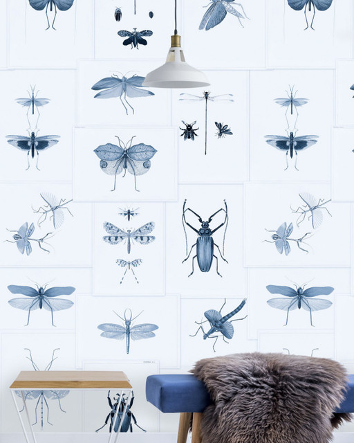 ENTOMOLOGY Blue Wallpaper (WP20235) by Mind The Gap Designer Wallpaper | WP20235 | PREMIUM DESIGNER WALLPAPER COLLECTION | 3 rolls x 20.5 x 118.1 in | 0.52m / 20.5in | 3m / 118in | 4.65mp | 300cm / 118in | Blue, Taupe | Non-woven | Paste the wall | 3-rolls in a box | Fabric Carolina | https://www.fabriccarolina.com/