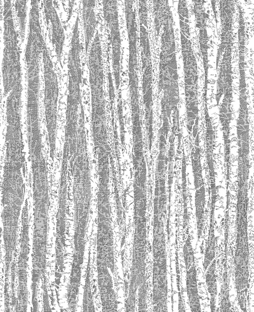 Advantage Toyon Black Birch Tree Wallpaper Nature Covers about 56.4 square feet 20.5-in by 33-ft long roll Unpasted 12.6 - My Fabric Connection - Advantage Toyon Black Birch Tree Wallpaper Nature Covers about 56.4 square feet 20.5-in by 33-ft long roll Unpasted 12.6 - My Fabric Connection -