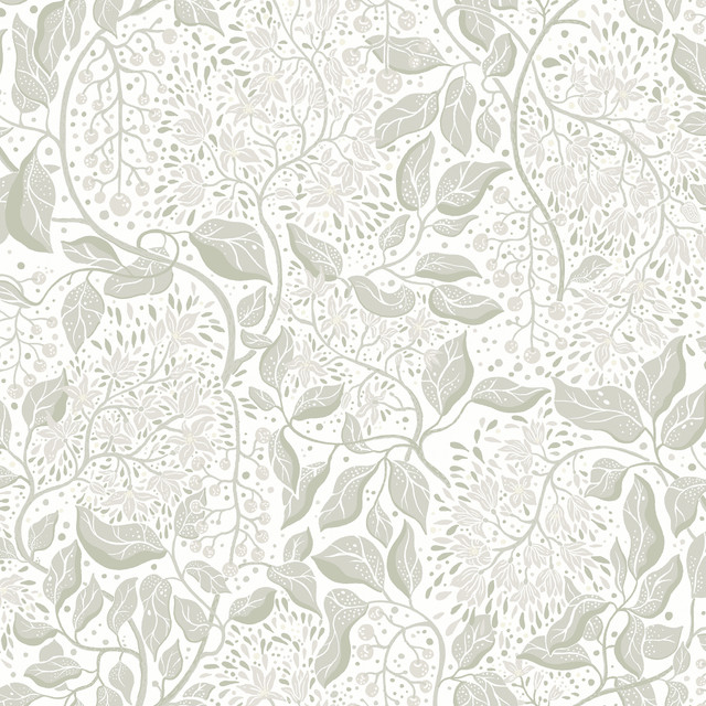 A-Street Prints Turi Sage Twining Vines Wallpaper Botanica Covers about 57.5 square feet 20.9-in by 33-ft long roll Unpasted 20.9 - My Fabric Connection -