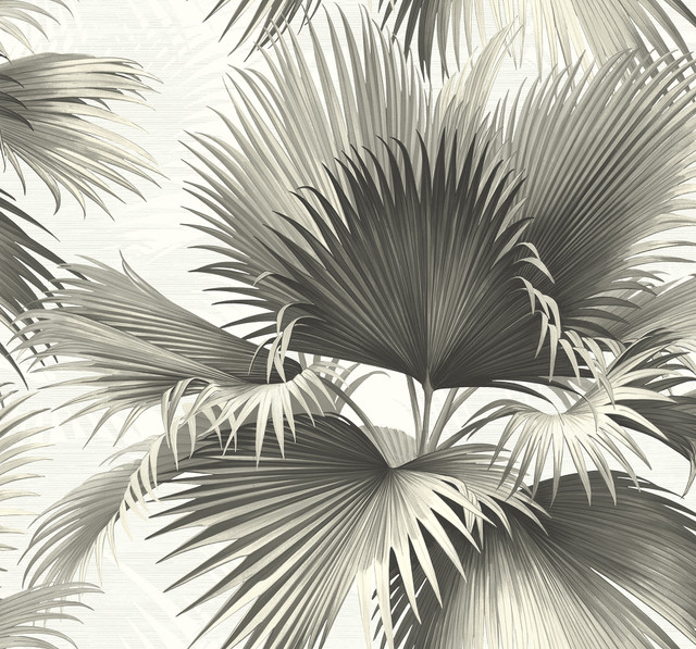 Kenneth James Endless Black Palm Wallpaper Palm Springs Covers about 60.8 square feet 27-in by 27-ft long roll Unpasted 26.25 - My Fabric Connection -