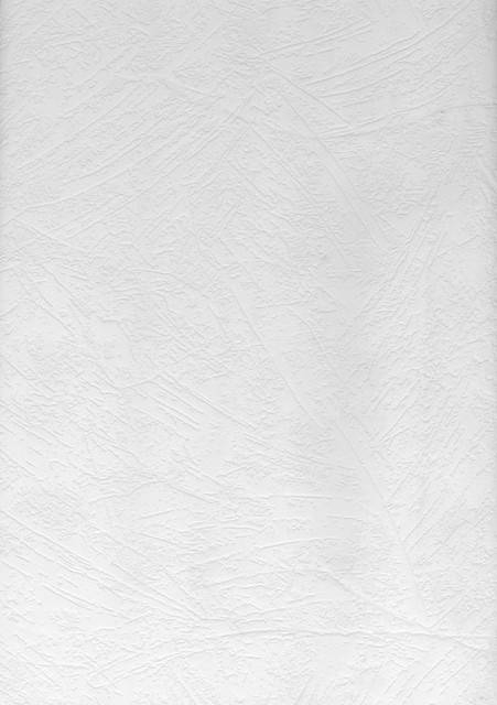 Brewster Crows Paintable Paintable Wallpaper Paintable Solutions IV Covers about 56.4 square feet 20.5-in by 33-ft long roll Prepasted 25 - My Fabric Connection - Brewster Crows Paintable Paintable Wallpaper Paintable Solutions IV Covers about 56.4 square feet 20.5-in by 33-ft long roll Prepasted 25 - My Fabric Connection -