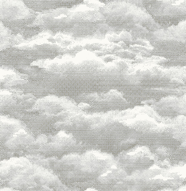 A-Street Prints Solstice Opal Cloud Wallpaper Eclipse Covers about 56.4 square feet 20.5-in by 33-ft long roll Unpasted 10.4 - My Fabric Connection -