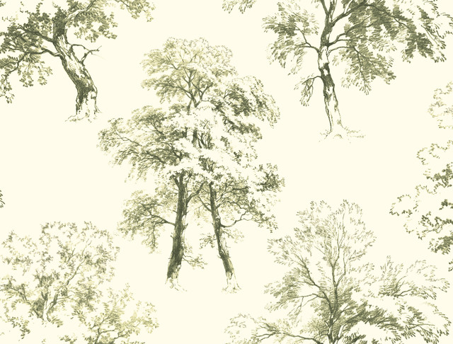 Ashford House Deciduous Green & White Wallpaper Ashford Toiles Covers about 60.8 square feet 27-in by 27-ft long roll Prepasted 20.5 - My Fabric Connection -