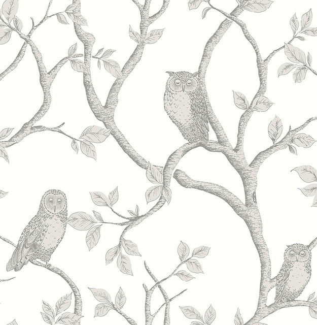 Brewster Enchanted Forest Grey Owl & Tree Wallpaper Brewster Essentials Covers about 56.4 square feet 20.5-in by 33-ft long roll Unpasted 20.87 - My Fabric Connection -