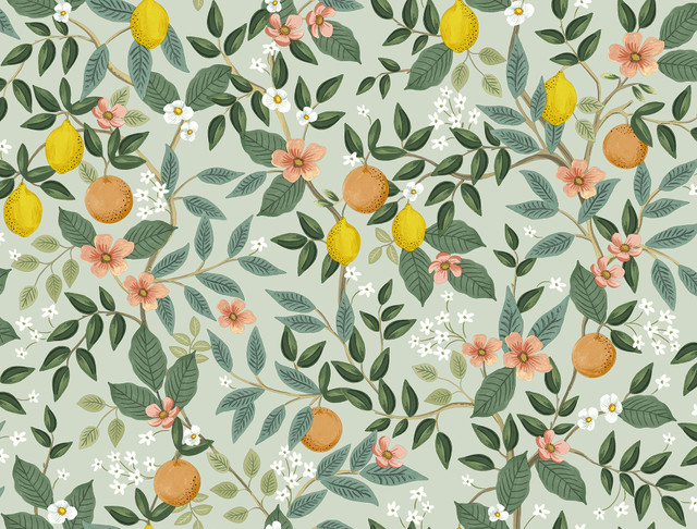 Rifle Paper Co. Citrus Grove Mint Peel & Stick Wallpaper P&S Rifle Paper 2 Covers about 45 square feet 27-in by 20-ft long roll Peel & Stick 20.5 - My Fabric Connection -