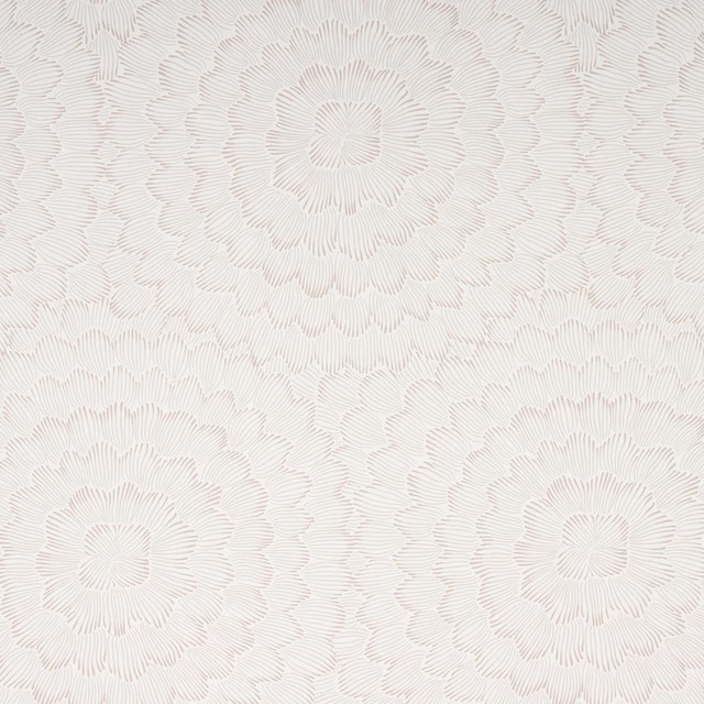 Schumacher Wallpaper Feather Bloom Soft Neutral 5013821 Full Bloom 54.0" - My Fabric Connection - Schumacher Wallpaper Feather Bloom Soft Neutral 5013821 Full Bloom 54.0" - My Fabric Connection -