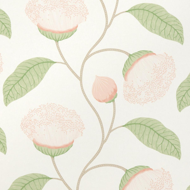 Schumacher Wallpaper Celinda Blush 5016360 A Love Affair 18.0" - My Fabric Connection - Schumacher Wallpaper Celinda Blush 5016360 A Love Affair 18.0" - My Fabric Connection -