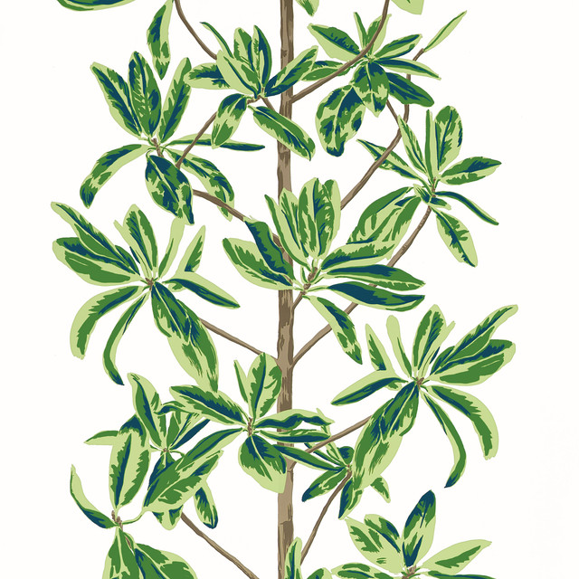 Thibaut Wallpaper Mangrove Tree Green and White T45035 Wallpaper Wallpaper U.S.A </p><p>Repeat: H: , V: 36 (91.44 cm) 27 in (68.58 cm) - My Fabric Connection - Thibaut Wallpaper Mangrove Tree Green and White T45035 Wallpaper Wallpaper U.S.A </p><p>Repeat: H: , V: 36 (91.44 cm) 27 in (68.58 cm) - My Fabric Connection -