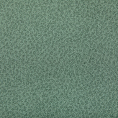 Kravet Contract - Upholstery - WOOLF.130.0 - Upholstery - POLYURETHANE - 95%;SILICONE - 5% - Taiwan </p><p>Repeat: H: , V: 27.5 21 - My Fabric Connection -