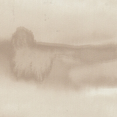 Winfield Thybony - Wallcovering - WDW2178P.WT.0 - Wallcovering - VINYL ON NON WOVEN - 100% - United States </p><p>Repeat: H: , V: 27.5 21 - My Fabric Connection -