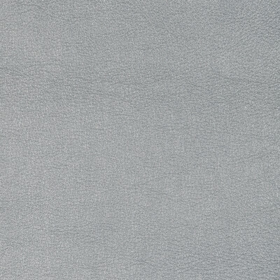 Kravet Design - Upholstery - L-SIERRA.PLATINUM.0 - Upholstery - LEATHER - 100% - Italy </p><p>Repeat: H: , V: 27.5 21 - My Fabric Connection -
