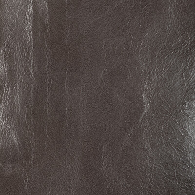 Kravet Design - Upholstery - L-CHANTEY.SEAL.0 - Upholstery - LEATHER - 100% - Italy </p><p>Repeat: H: , V: 27.5 21 - My Fabric Connection -