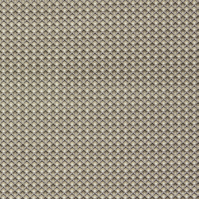 Clarke And Clarke - Upholstery - F1617/02.CAC.0 - Upholstery - VISCOSE - 57%;POLYESTER - 30%;COTTON - 13% - Turkiye </p><p>Repeat: H: , V: 27.5 21 - My Fabric Connection -