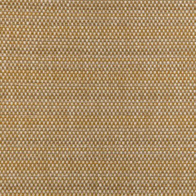 Kravet Smart - Upholstery - 36994.4.0 - Upholstery - HIGH UV POLYESTER - 100% - India </p><p>Repeat: H: , V: 27.5 21 - My Fabric Connection -