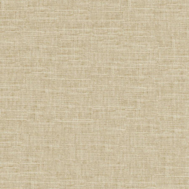 Maxwell Fabric Tambo # 505 Seagrass PURE & SIMPLE XVII 58% COTTON
42% POLYESTER INDIA 54" - My Fabric Connection - Maxwell Fabric Tambo # 505 Seagrass PURE & SIMPLE XVII 58% COTTON
42% POLYESTER INDIA 54" - My Fabric Connection -