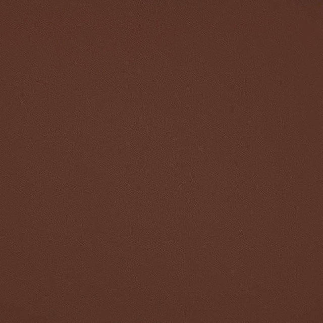 Maxwell Fabric Trailrider # 101 Cedar Trailrider FACE: 100% POLYURETHANE (POLYCARBONATE)
BACKING: 100% POLYESTER CHINA 54" - My Fabric Connection -