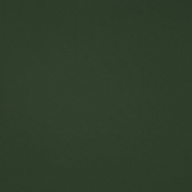 Maxwell Fabric Trailrider # 109 Grass Trailrider FACE: 100% POLYURETHANE (POLYCARBONATE)
BACKING: 100% POLYESTER CHINA 54" - My Fabric Connection -