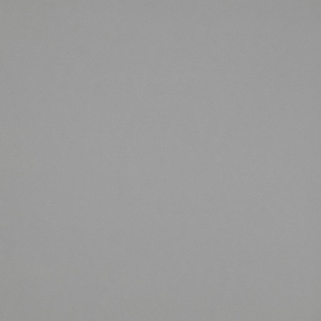 Maxwell Fabric Trailrider # 116 Dawn Trailrider FACE: 100% POLYURETHANE (POLYCARBONATE)
BACKING: 100% POLYESTER CHINA 54" - My Fabric Connection -